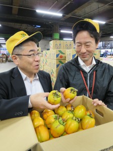 南部・干し柿用西条出番1