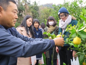 南部・女子大生広島レモン研修