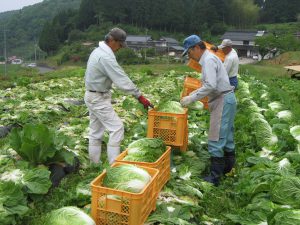 庄原・キラキラ希一