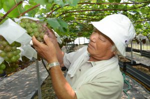 広島市・溝口幸平太２